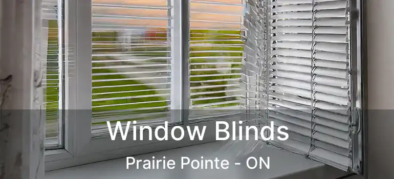  Window Blinds Prairie Pointe - ON