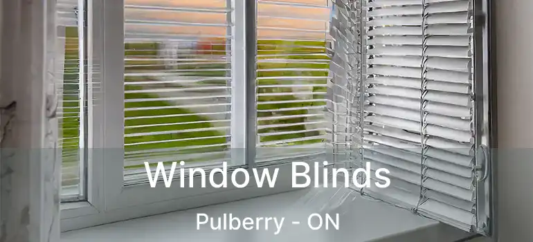 Window Blinds Pulberry - ON