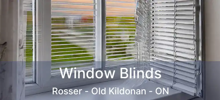  Window Blinds Rosser - Old Kildonan - ON