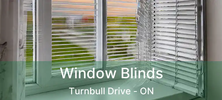  Window Blinds Turnbull Drive - ON