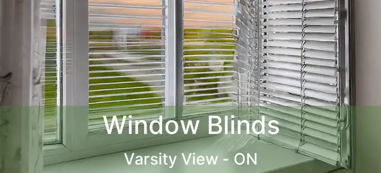  Window Blinds Varsity View - ON