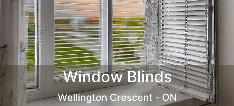  Window Blinds Wellington Crescent - ON