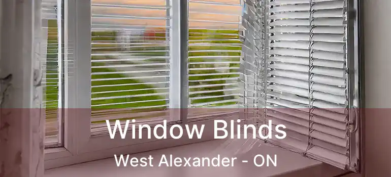  Window Blinds West Alexander - ON