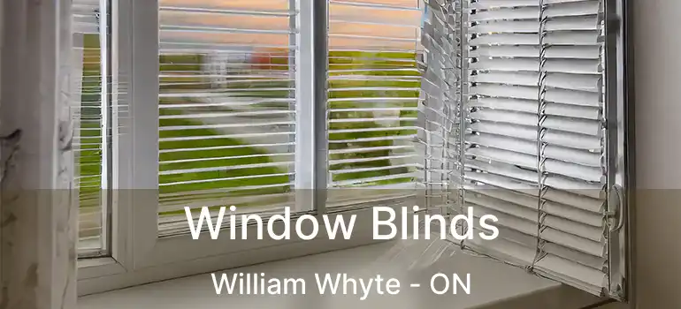  Window Blinds William Whyte - ON