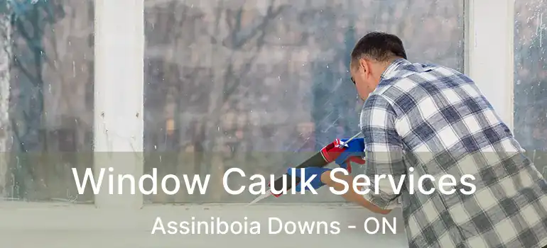  Window Caulk Services Assiniboia Downs - ON