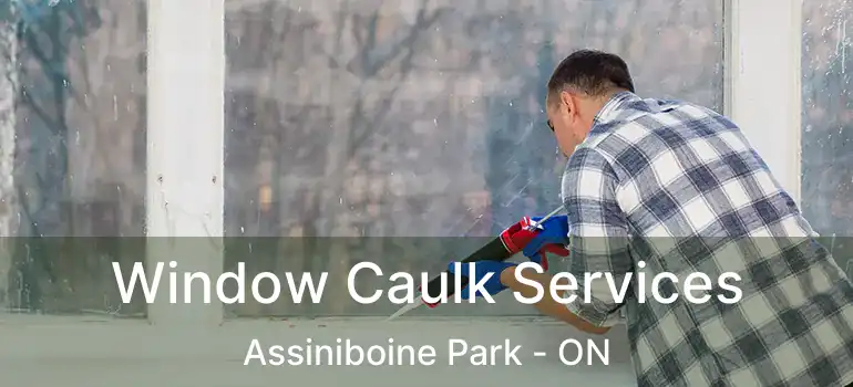  Window Caulk Services Assiniboine Park - ON