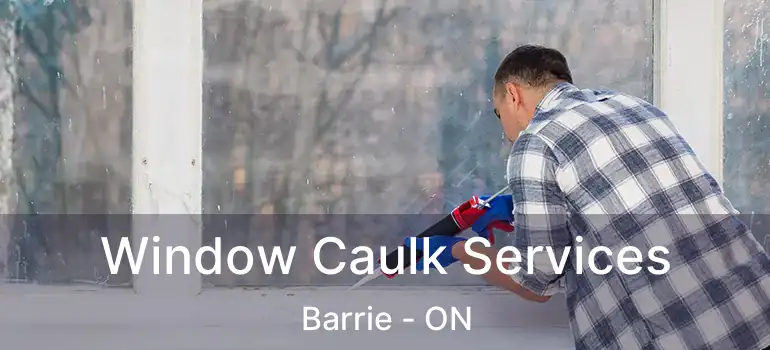  Window Caulk Services Barrie - ON