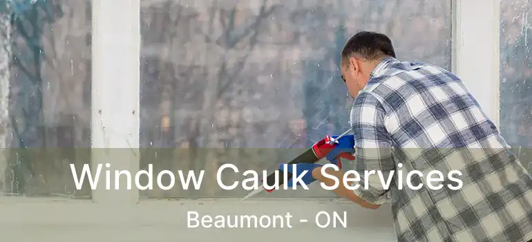  Window Caulk Services Beaumont - ON