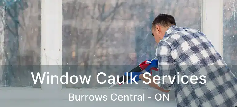  Window Caulk Services Burrows Central - ON