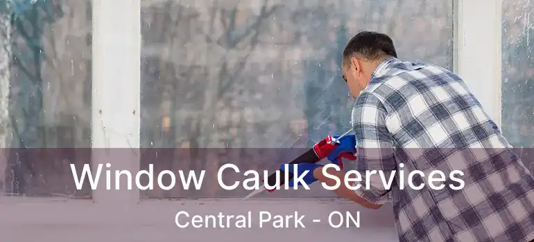  Window Caulk Services Central Park - ON