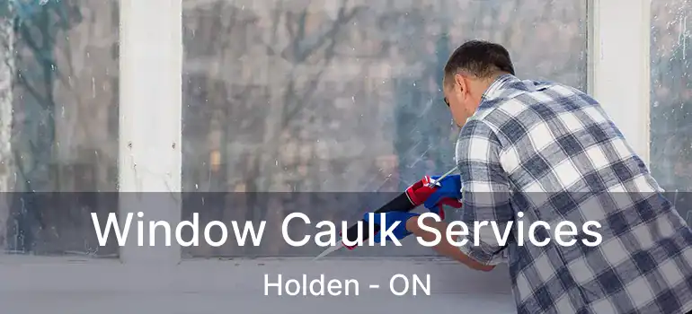  Window Caulk Services Holden - ON