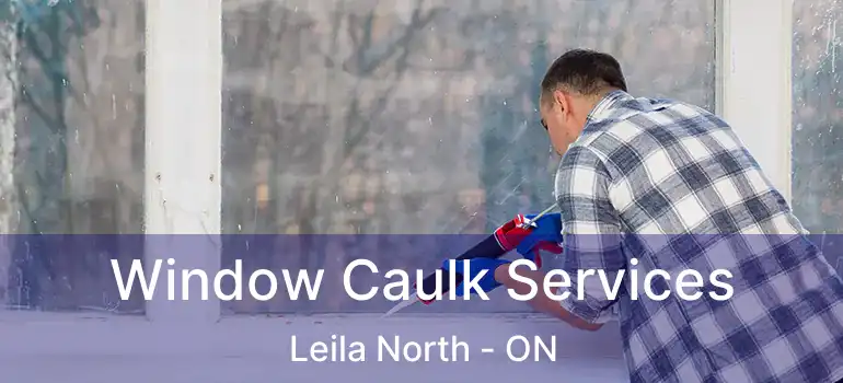  Window Caulk Services Leila North - ON