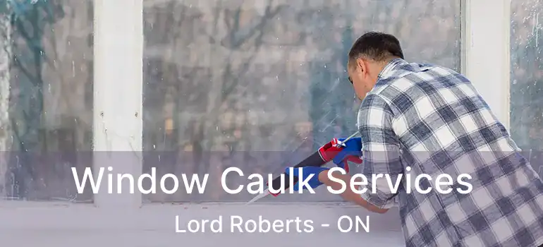  Window Caulk Services Lord Roberts - ON
