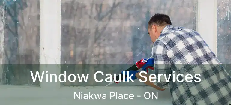  Window Caulk Services Niakwa Place - ON