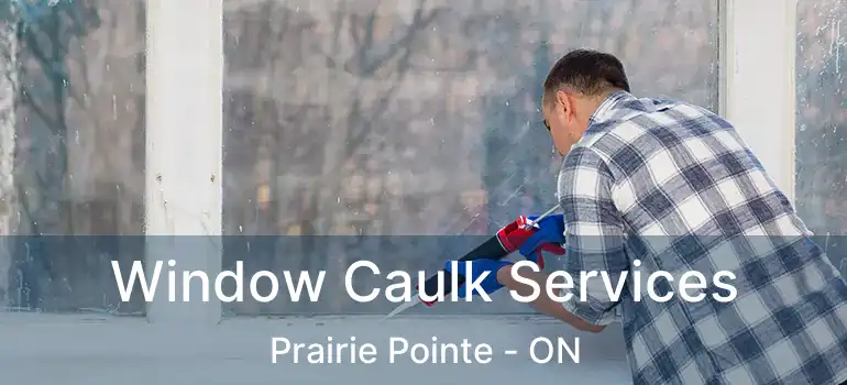  Window Caulk Services Prairie Pointe - ON