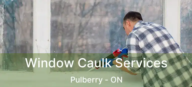  Window Caulk Services Pulberry - ON