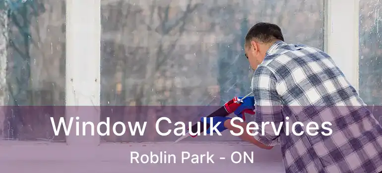  Window Caulk Services Roblin Park - ON