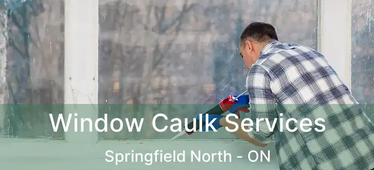  Window Caulk Services Springfield North - ON
