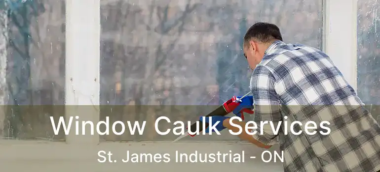  Window Caulk Services St. James Industrial - ON