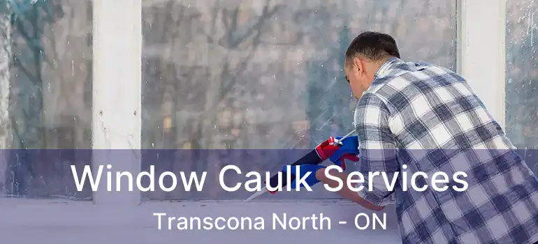  Window Caulk Services Transcona North - ON