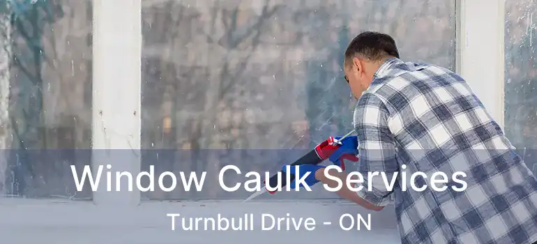  Window Caulk Services Turnbull Drive - ON