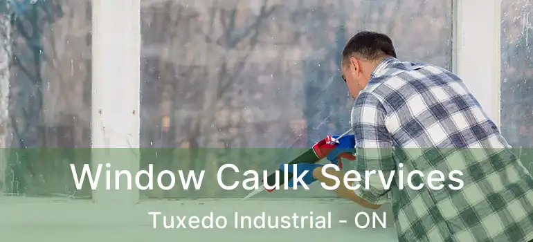  Window Caulk Services Tuxedo Industrial - ON
