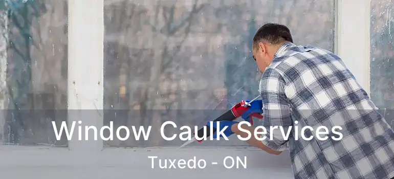  Window Caulk Services Tuxedo - ON