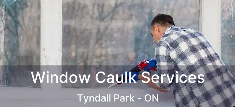  Window Caulk Services Tyndall Park - ON