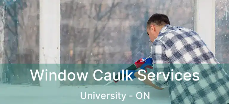  Window Caulk Services University - ON