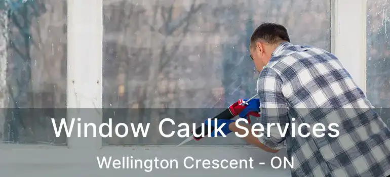  Window Caulk Services Wellington Crescent - ON