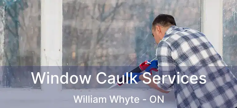  Window Caulk Services William Whyte - ON