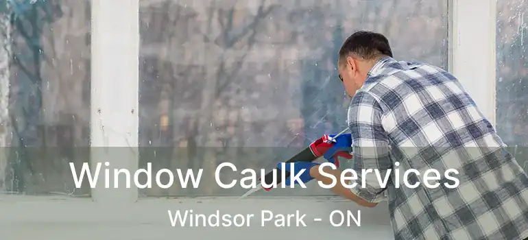  Window Caulk Services Windsor Park - ON