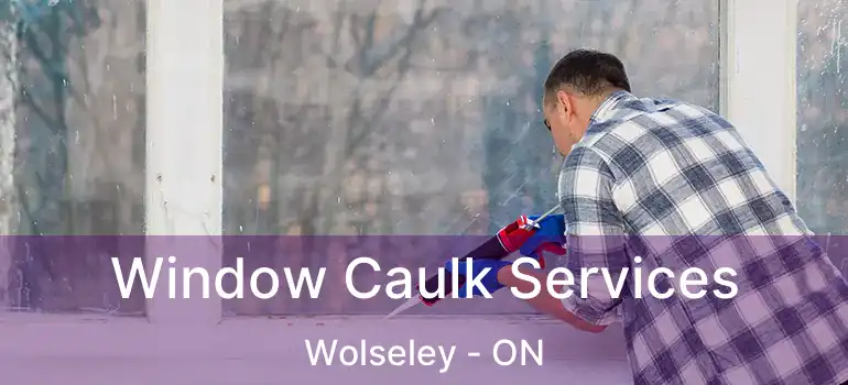  Window Caulk Services Wolseley - ON
