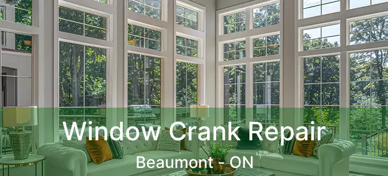  Window Crank Repair Beaumont - ON