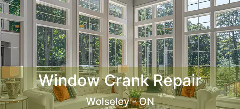  Window Crank Repair Wolseley - ON