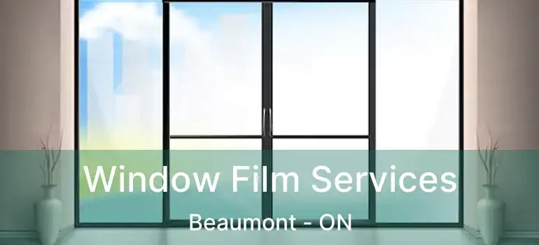  Window Film Services Beaumont - ON