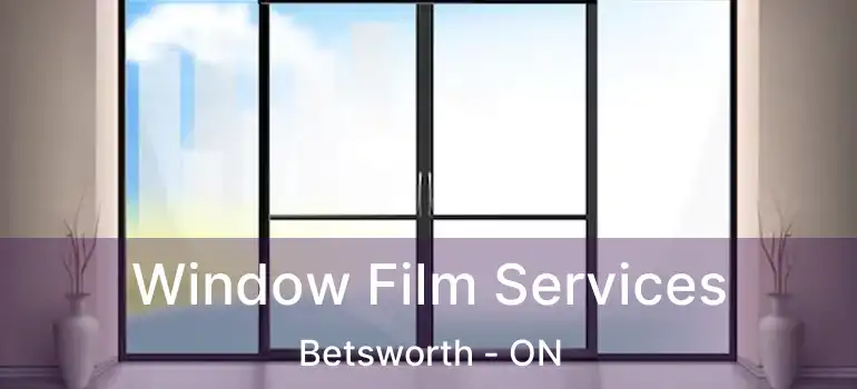  Window Film Services Betsworth - ON