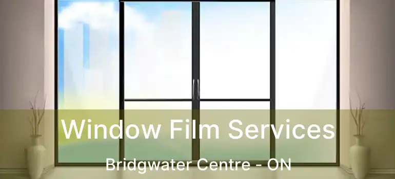  Window Film Services Bridgwater Centre - ON