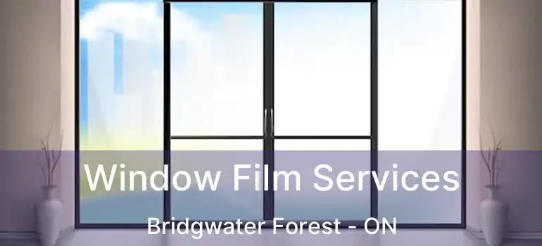  Window Film Services Bridgwater Forest - ON