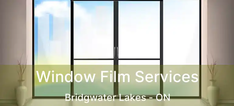  Window Film Services Bridgwater Lakes - ON