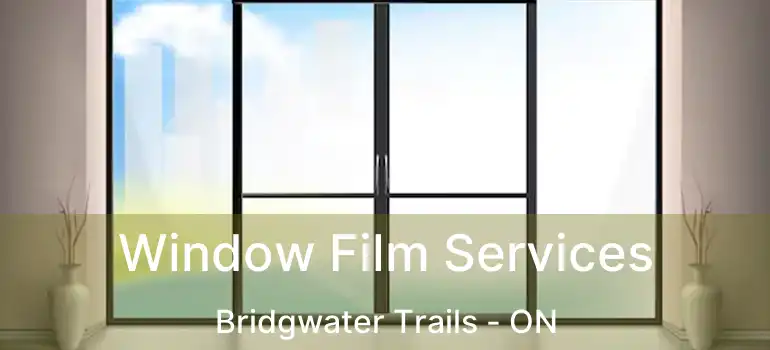  Window Film Services Bridgwater Trails - ON