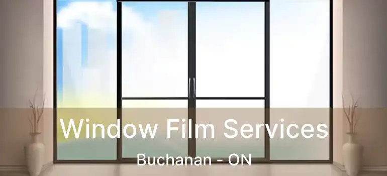  Window Film Services Buchanan - ON