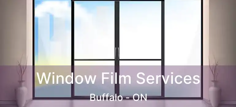  Window Film Services Buffalo - ON