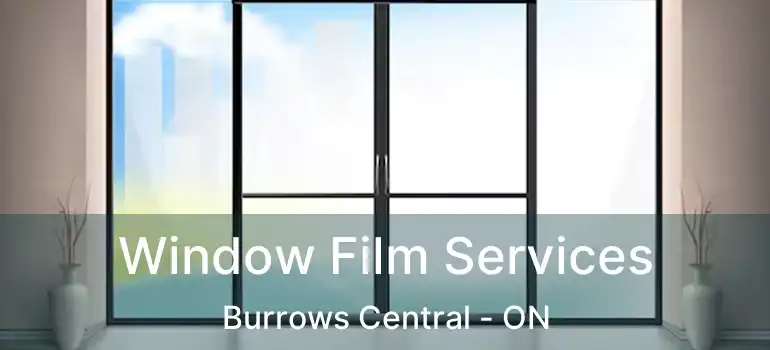  Window Film Services Burrows Central - ON