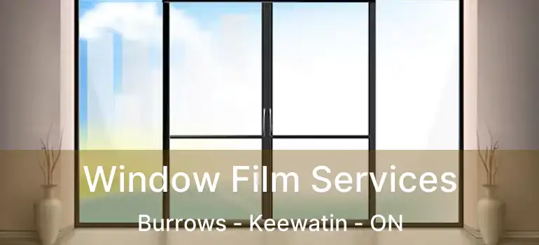  Window Film Services Burrows - Keewatin - ON