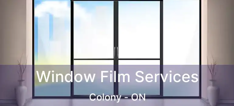  Window Film Services Colony - ON