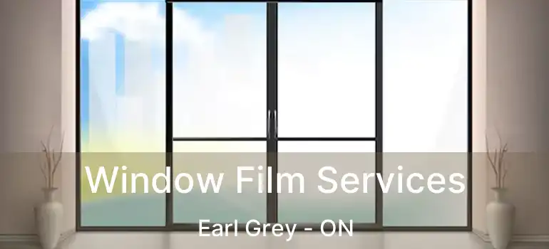  Window Film Services Earl Grey - ON