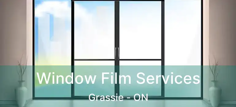  Window Film Services Grassie - ON