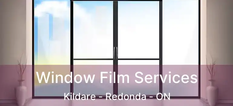  Window Film Services Kildare - Redonda - ON
