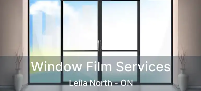  Window Film Services Leila North - ON